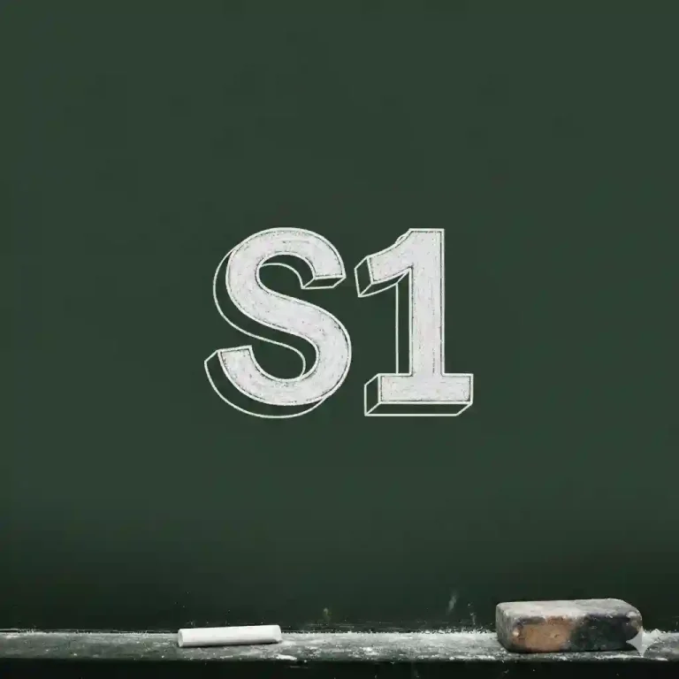 S1