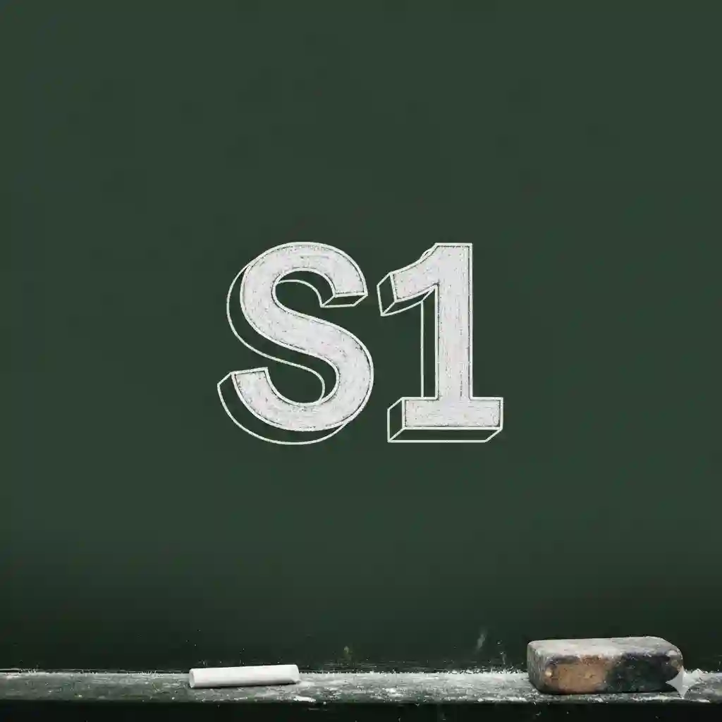 S1
